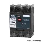 テンパール工業　M53KC500　配線用遮