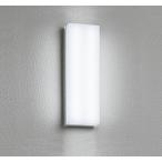 ショッピングオーデリック オーデリック OG254243R エクステリア ポーチライト LED一体型 昼白色 高演色LED 防雨・防湿型