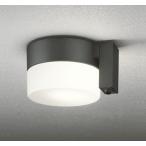 オーデリック OG254988LCR(ランプ別梱) エクステリア ポーチライト LEDランプ 電球色 高演色LED 人感センサー付 防雨型 黒色