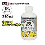 洗剤 クレンザー 液体 業務用 強力 プロ 水垢 キッチン シンク 浴室 陶器 金属 トイレ 茶しぶ 鏡 貴金属 自転車 大掃除 技職人魂 磨き職人 250ml