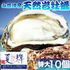 天然岩牡蠣 (活)夏輝牡蠣 350g-450g前 10個セットブランド 夏輝牡蠣 鳥取産 カキ 刺身用 送料無料(岩ガキ/岩がき)
