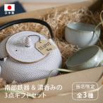 南部鉄器 急須 セット 平清水焼 湯呑 白 2個セット 0.6L  ティーポット ギフト 日本製