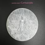 【新入荷】セレナイトパワープレートチャクラ　パワーストーン　天然石　円形置石１２ｃｍ　オブジェ　ヒーリング　瞑想