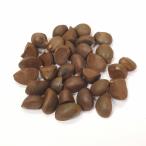  камелия. вид 33 шт ~ dry craft, lease и т.п. почтовая доставка соответствует 