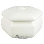 サンタマリアノヴェッラ ポプリ チョトラ エサゴナーレ (464070)