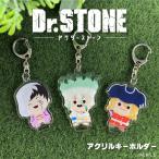 Dr.STONE акрил брелок для ключа аниме товары симпатичный 