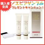 ノエビア クリームヘアカラー6 ナチュラルブラウン（専用ブラシ・手袋付）