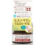 石澤研究所アクネバリア薬用プロテク...