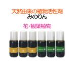  растения ..... rin Mini цветок * декоративное растение для 10ml×6шт.@ - yami промышленность почтовая доставка бесплатная доставка 