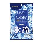 ギャツビー(GATSBY) アイスデオドラント ボディペーパー アイスシトラス 10枚入 マンダム(mandom)