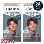 ルシード(LUCIDO) デザインヘアカラー 2Aクールアッシュ×2個セット 白髪染め トリートメント付き マンダム(mandom)