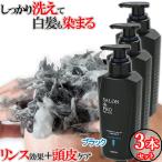 白髪染めシャンプー3個セット メンズ カラーシャンプー スカルプケア ナチュラルブラック 250ml サロンドプロ(SALON de PRO DARIYA) ダリヤ 送料込