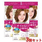 3個セット 1 かなり明るいライトブラウン 白髪染め 無香料ヘアカラー 早染め乳液 サロンドプロ(SALON de PRO) ダリヤ(DARIYA) 送料込