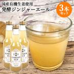 国産有機生姜使用 生姜百景 発酵ジ