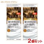 (2個セット) ビゲン(Bigen) 泡クリームカラー 2N ブライトブラウン 白髪用 白髪染め ホーユー(hoyu) 送料込