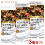 ショッピング白髪染め (3個セット) ビゲン(Bigen) 泡クリームカラー 2N ブライトブラウン 白髪用 白髪染め ホーユー(hoyu) 送料込