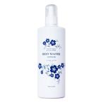 ブラックペイント ベストウォーター(無香 無色) 500ml お徳用