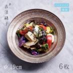 中鉢 φ19cm 6枚 サークル 浅中鉢 ブロ