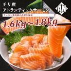  Atlantic salmon примерно 1.8kg Chile производство сырой еда возможно s gold отсутствует 