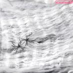 1266I#[ бесплатная доставка * немедленная уплата ]B товар простой ... гнездо Spider web сеть kmo Halloween . салон орнамент фотосъемка для .... игрушка ужасы .. предмет учебное заведение праздник культура праздник реквизит 