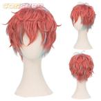 ヒプノシスマイク Division Rap Battle 声優キャラ 観音坂独歩 かんのんざかどっぽ 風 コスプレウィッグ かつら cosplay wig コスチューム