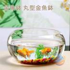  стол 20cm 25cm 30cm круглый аквариум круглый круглый аквариум аквариум маленький размер аквариум разведение аквариум стекло me Dakar горшок me Dakar прозрачный декоративное растение большая вместимость модный аквариум миска вода .