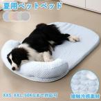犬 ベッド 夏用 猫 犬用 洗える 小 中 大型犬 ペットベッド 高反発 接触冷感素材 枕付きペットクッション ペット敷きパッド
