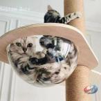  башня для кошки космический корабль прозрачный Capsule кошка подножка кошка walk с ощущением почтового заказа легко ..., интерьер тоже ... ближайшее будущее способ item. 