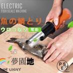 電動 うろこ取り ウロコ取り 魚の鱗とり 業務用 鱗取り キッチンツール ホーム用 商用 事務用 お店用