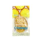 100% dry ананас 40g
