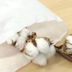 接着芯 中手  ペースタップ 不織布 白 生地 接着芯地 100cm幅 メール便1.5mまで
