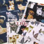 ショッピングシーチング シーチング　デジタルプリント　Maison de fabric　「LIFE」（単位50cm）