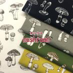 オックス Mushroom（単位50cm）