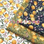 ショッピングシーチング シーチング　リスとあんずの物語（単位50cm）