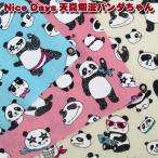 CBpo пудинг Nice Days небо подлинный .. Panda Chan ( единица измерения 50cm)