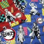 ショッピング鬼滅の刃 鬼滅の刃　全身柄オックス（単位50cm）