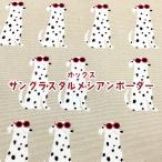 オックス サングラスダルメシアンボーダー（単位50cm）