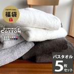 ショッピングバスタオル タオル バスタオル 5枚組 新生活応援 ホテルタオル スーピマコットン まとめ買い セット ポイント消化  ふわふわ 無地 ストライプ ボーダー ふわふわ セール 99