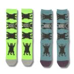 HOiSUM シュナウザー socks 