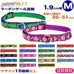 ルパインハーフチョーク首輪Lupi...