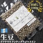 Yahoo! Yahoo!ショッピング(ヤフー ショッピング)コーヒー 生豆 お試し 100g グアテマラ アンティグア ジャスミン 珈琲 コーヒー豆少量 グリーンコーヒー 自家焙煎に 真空パック