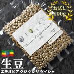 Yahoo! Yahoo!ショッピング(ヤフー ショッピング)コーヒー 生豆 お試し 100g エチオピア グジ ゲレザ ゲイシャ 珈琲 コーヒー豆少量 グリーンコーヒー 自家焙煎に 真空パック