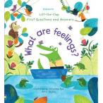 What are feelings? 英語仕掛け絵本