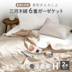 【同色2枚セット】ガーゼケット ハーフ 100×140 日本製 6重ガーゼ 綿100% 三河木綿 肌掛け 夏 おしゃれ オールシーズン ブランケット