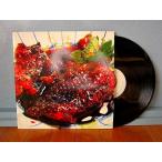 ANIMAL COLLECTIVE★Strawberry Jam 2LP Domino DNO156★200514t5-rcd-12-rkレコード12インチアニマル・コレクティヴ2007年サイケアシッド