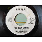 THE WILD ONES●I’VE BEEN CRYING/A LITTLE BIT O’ SOUL S.P.Q.R. 45-3316●201201t1-rcd-7-fnレコード7インチUS盤米盤60'sソウル45