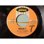 ROY LEE JOHNSON●BOOGALOO #3/SO ANNA JUST LOVE ME Josie 45-965●201201t2-rcd-7-fnレコード7インチUS盤米盤60'sソウル45