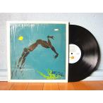 STEVE WINWOOD●ARC OF A DIVERシュリンク付きISLAND RECORDS ILPS 9576 ●211109t3-rcd-12-rkレコード米盤US盤米LP