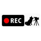  регистратор пути (drive recorder) установка стикер [..... видео камера ] Banner Type ( задняя сторона. узкий SUV* Sports Wagon предназначенный ) ( магнит ) (5.2cm×14.8cm) b16