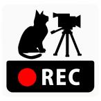  регистратор пути (drive recorder) установка стикер [ кошка . видео камера ] Square Type ( магнит ) q18